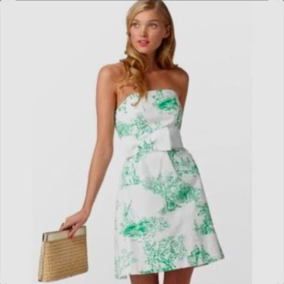 Lilly Pulitzer Amberly Dress in Spring Fever Toile size 6 ( Medium) - Picture 1 of 3